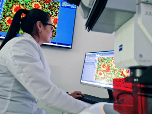 Persona analizando muestra en microscopio de fluorescencia